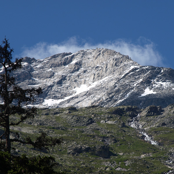 Blick zum Olperer vom Schleegeis (Zillertal)